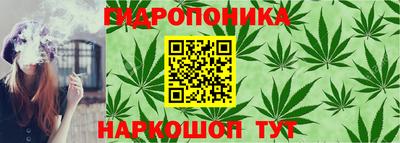 трава Нарткала