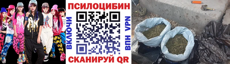 цены   Полевской  Галлюциногенные грибы Psilocybine cubensis 