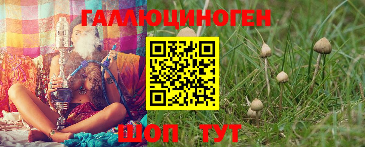 Галлюциногенные грибы Psilocybine cubensis Полевской