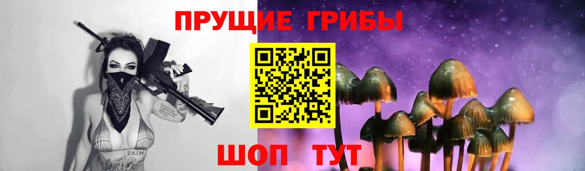 Полевской  Галлюциногенные грибы Psilocybine cubensis  Вход с VPN 